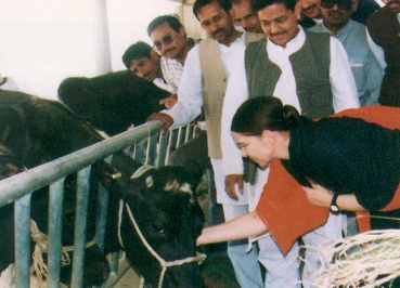 La Princesa Irene acariciando una vaca en la India