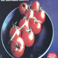 La Cocina Gitana de Matilde Amaya (Belacqua, 2002)